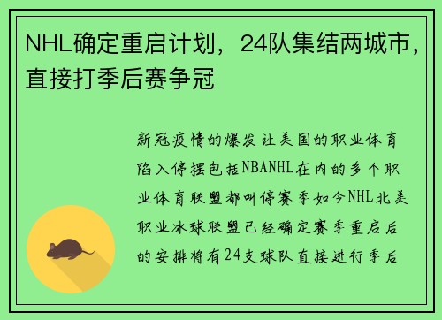 NHL确定重启计划，24队集结两城市，直接打季后赛争冠